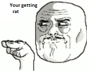 Rat