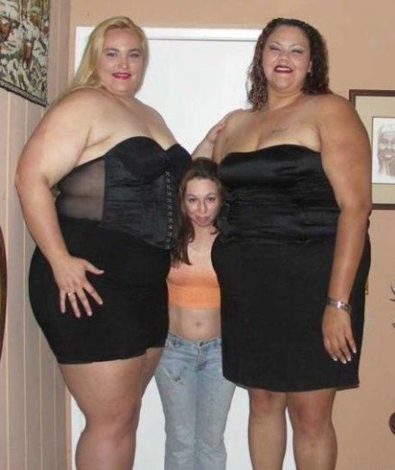 Food lovers Fat loss system