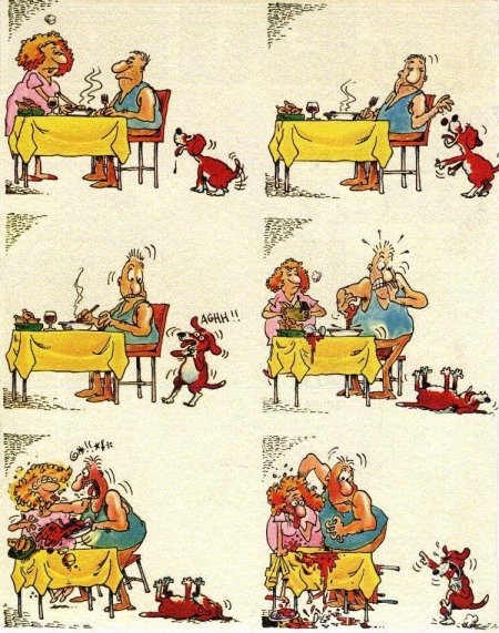 Dogs