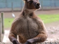 Cute/Funny Animals